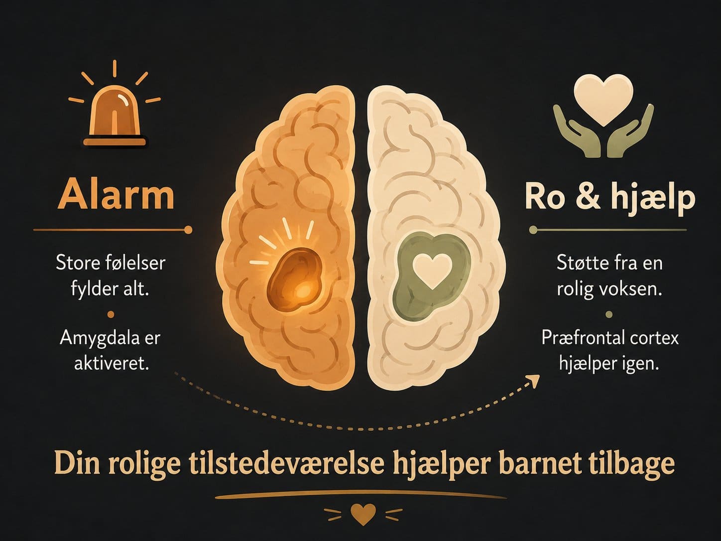 Diagram Der Viser Forskellen Mellem Et Nervesystem Uden Regulering Og Med Coregulering